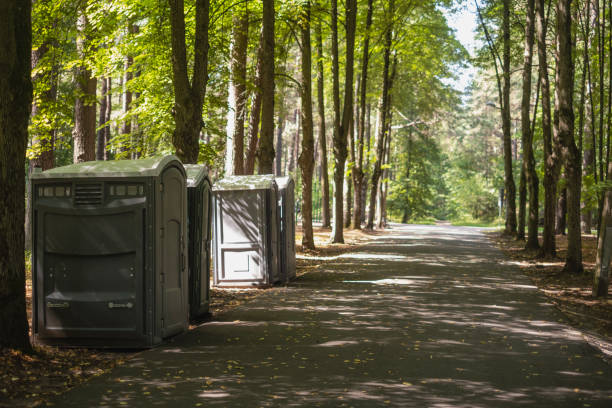 Best Porta potty cleaning services  in Buena Vista, CO
